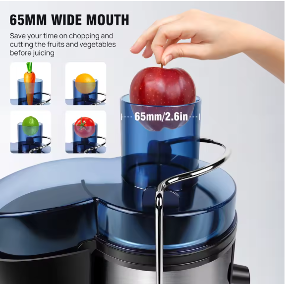 1000W Juicer Machine Whole Fruit and Vegetable Juice Extractor Stainless Steel, 500ML Capacity, 2 Speeds Adjustable